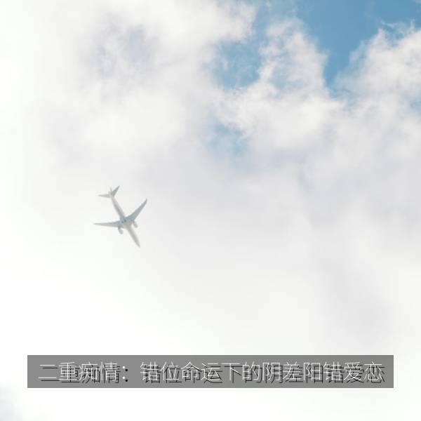 二重痴情：错位命运下的阴差阳错爱恋 海报