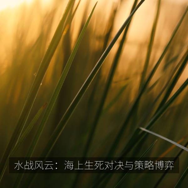 水战风云：海上生死对决与策略博弈